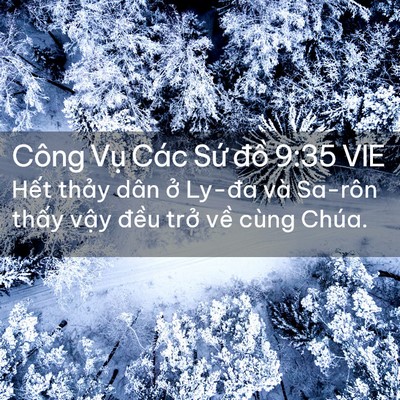 Picture 02 - Công Vụ Các Sứ đồ 9:35 VIE - Hết thảy dân ở Ly-đa và Sa-rôn thấy - Bible Verse Picture