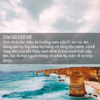 Picture 02 - Dân Số 1:20 VIE - Con cháu Ru-bên, là trưởng nam của - Bible Verse Picture