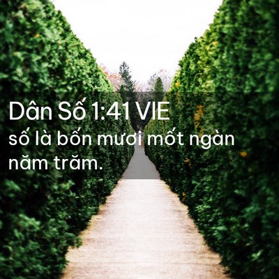 Picture 02 - Dân Số 1:41 VIE - số là bốn mươi mốt ngàn năm - Bible Verse Picture