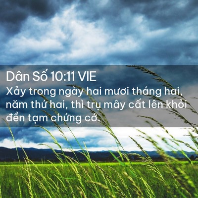 Picture 02 - Dân Số 10:11 VIE - Xảy trong ngày hai mươi tháng hai, năm - Bible Verse Picture
