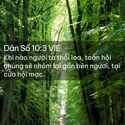 Picture 02 - Dân Số 10:3 VIE - Khi nào người ta thổi loa, toàn hội - Bible Verse Picture