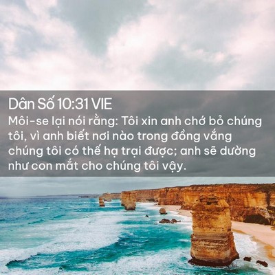 Picture 02 - Dân Số 10:31 VIE - Môi-se lại nói rằng: Tôi xin anh chớ - Bible Verse Picture