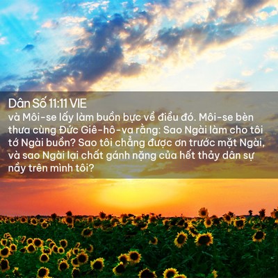 Picture 02 - Dân Số 11:11 VIE - và Môi-se lấy làm buồn bực về điều - Bible Verse Picture