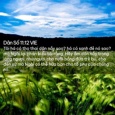 Picture 02 - Dân Số 11:12 VIE - Tôi há có thọ thai dân nầy sao? há có - Bible Verse Picture