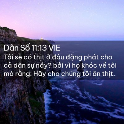 Picture 02 - Dân Số 11:13 VIE - Tôi sẽ có thịt ở đâu đặng phát cho - Bible Verse Picture