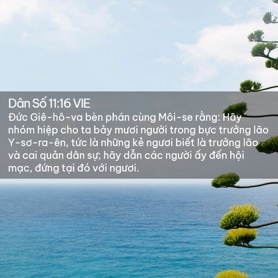 Picture 02 - Dân Số 11:16 VIE - Đức Giê-hô-va bèn phán cùng Môi-se - Bible Verse Picture