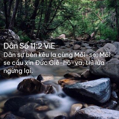 Picture 02 - Dân Số 11:2 VIE - Dân sự bèn kêu la cùng Môi-se; Môi-se - Bible Verse Picture