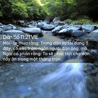 Picture 02 - Dân Số 11:21 VIE - Môi-se thưa rằng: Trong dân sự tôi đang - Bible Verse Picture