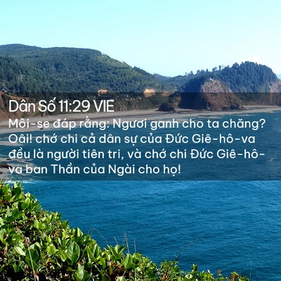 Picture 02 - Dân Số 11:29 VIE - Môi-se đáp rằng: Ngươi ganh cho ta chăng? - Bible Verse Picture