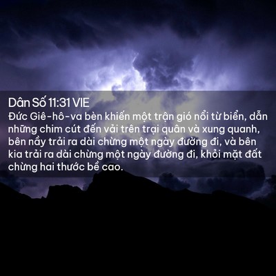 Picture 02 - Dân Số 11:31 VIE - Đức Giê-hô-va bèn khiến một trận gió - Bible Verse Picture
