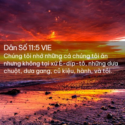 Picture 02 - Dân Số 11:5 VIE - Chúng tôi nhớ những cá chúng tôi ăn - Bible Verse Picture
