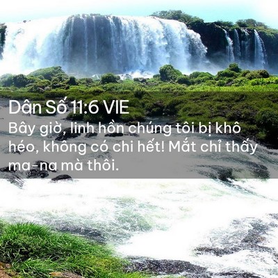 Picture 02 - Dân Số 11:6 VIE - Bây giờ, linh hồn chúng tôi bị khô - Bible Verse Picture