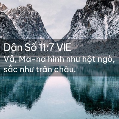 Picture 02 - Dân Số 11:7 VIE - Vả, Ma-na hình như hột ngò, sắc như - Bible Verse Picture