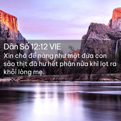 Picture 02 - Dân Số 12:12 VIE - Xin chớ để nàng như một đứa con sảo - Bible Verse Picture