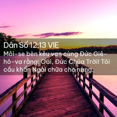 Picture 02 - Dân Số 12:13 VIE - Môi-se bèn kêu van cùng Đức Giê-hô-va - Bible Verse Picture