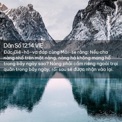 Picture 02 - Dân Số 12:14 VIE - Đức Giê-hô-va đáp cùng Môi-se rằng: - Bible Verse Picture