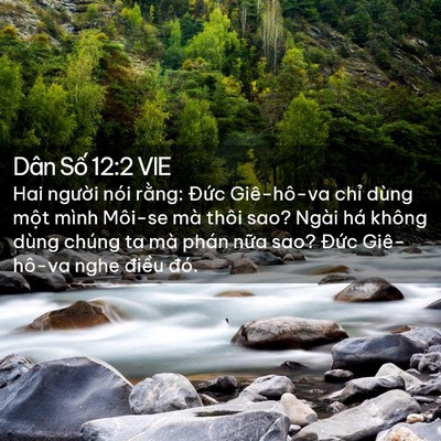 Picture 02 - Dân Số 12:2 VIE - Hai người nói rằng: Đức Giê-hô-va - Bible Verse Picture