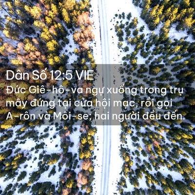 Picture 02 - Dân Số 12:5 VIE - Đức Giê-hô-va ngự xuống trong trụ mây - Bible Verse Picture
