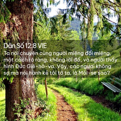 Picture 02 - Dân Số 12:8 VIE - Ta nói chuyện cùng người miệng đối - Bible Verse Picture
