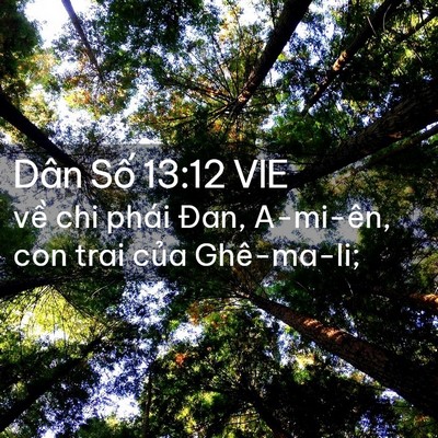 Picture 02 - Dân Số 13:12 VIE - về chi phái Đan, A-mi-ên, con trai của - Bible Verse Picture