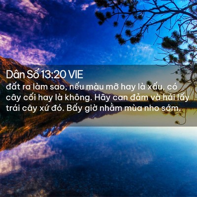 Picture 02 - Dân Số 13:20 VIE - đất ra làm sao, nếu màu mỡ hay là - Bible Verse Picture