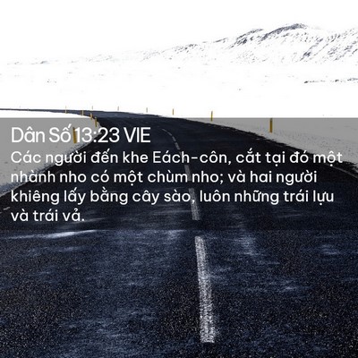 Picture 02 - Dân Số 13:23 VIE - Các người đến khe Eách-côn, cắt tại - Bible Verse Picture