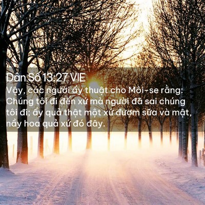 Picture 02 - Dân Số 13:27 VIE - Vậy, các người ấy thuật cho Môi-se - Bible Verse Picture