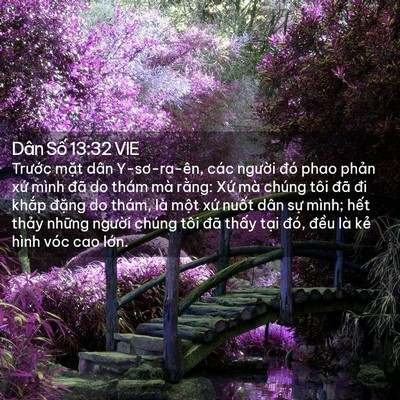 Picture 02 - Dân Số 13:32 VIE - Trước mặt dân Y-sơ-ra-ên, các người - Bible Verse Picture