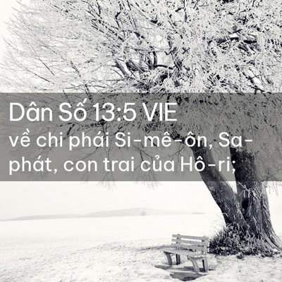 Picture 02 - Dân Số 13:5 VIE - về chi phái Si-mê-ôn, Sa-phát, con trai - Bible Verse Picture