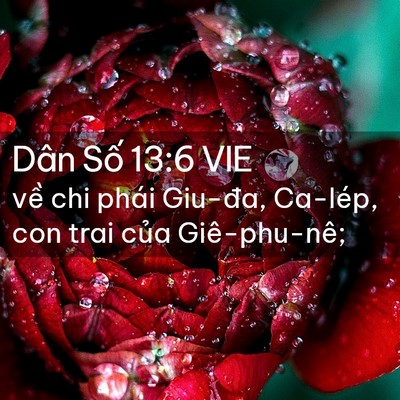 Picture 02 - Dân Số 13:6 VIE - về chi phái Giu-đa, Ca-lép, con trai của - Bible Verse Picture