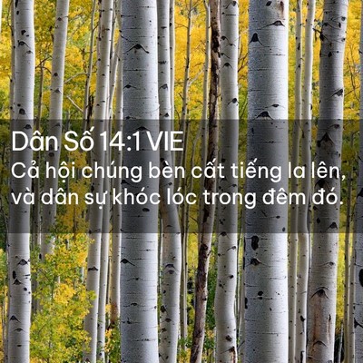 Picture 02 - Dân Số 14:1 VIE - Cả hội chúng bèn cất tiếng la lên, và - Bible Verse Picture