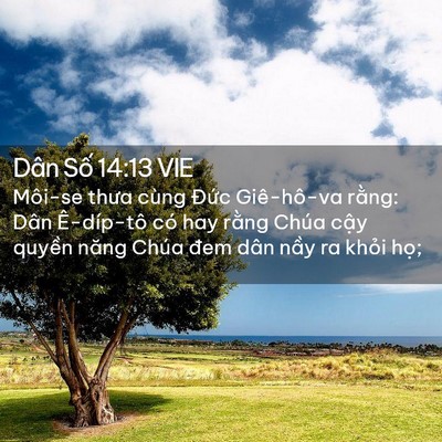Picture 02 - Dân Số 14:13 VIE - Môi-se thưa cùng Đức Giê-hô-va rằng: - Bible Verse Picture