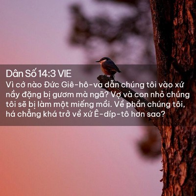 Picture 02 - Dân Số 14:3 VIE - Vì cớ nào Đức Giê-hô-va dẫn chúng - Bible Verse Picture