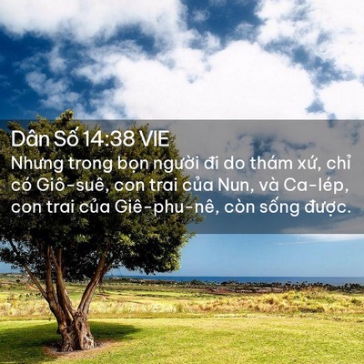 Picture 02 - Dân Số 14:38 VIE - Nhưng trong bọn người đi do thám xứ, - Bible Verse Picture