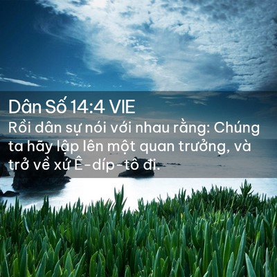 Picture 02 - Dân Số 14:4 VIE - Rồi dân sự nói với nhau rằng: Chúng ta - Bible Verse Picture