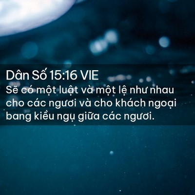 Picture 02 - Dân Số 15:16 VIE - Sẽ có một luật và một lệ như nhau - Bible Verse Picture