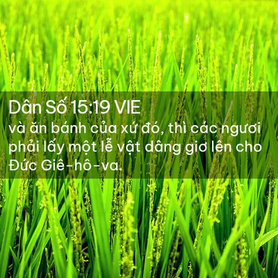 Picture 02 - Dân Số 15:19 VIE - và ăn bánh của xứ đó, thì các ngươi - Bible Verse Picture