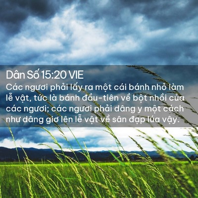 Picture 02 - Dân Số 15:20 VIE - Các ngươi phải lấy ra một cái bánh - Bible Verse Picture