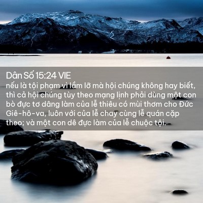 Picture 02 - Dân Số 15:24 VIE - nếu là tội phạm vì lầm lỡ mà hội - Bible Verse Picture