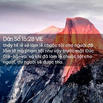 Picture 02 - Dân Số 15:28 VIE - thầy tế lễ sẽ làm lễ chuộc tội cho - Bible Verse Picture