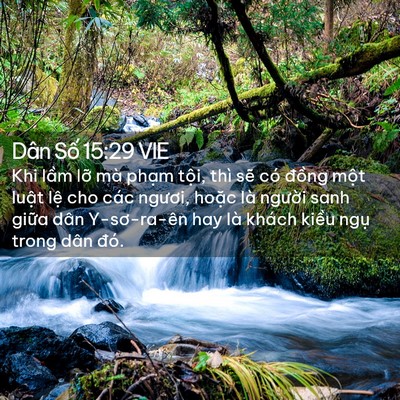 Picture 02 - Dân Số 15:29 VIE - Khi lầm lỡ mà phạm tội, thì sẽ có - Bible Verse Picture