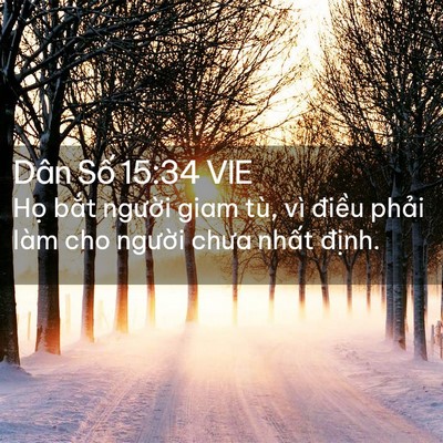 Picture 02 - Dân Số 15:34 VIE - Họ bắt người giam tù, vì điều phải - Bible Verse Picture