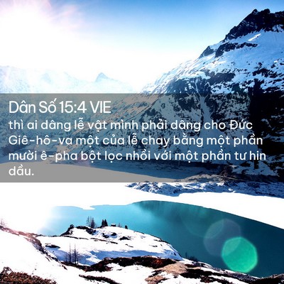Picture 02 - Dân Số 15:4 VIE - thì ai dâng lễ vật mình phải dâng cho - Bible Verse Picture