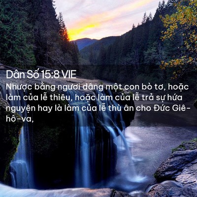 Picture 02 - Dân Số 15:8 VIE - Nhược bằng ngươi dâng một con bò tơ, - Bible Verse Picture