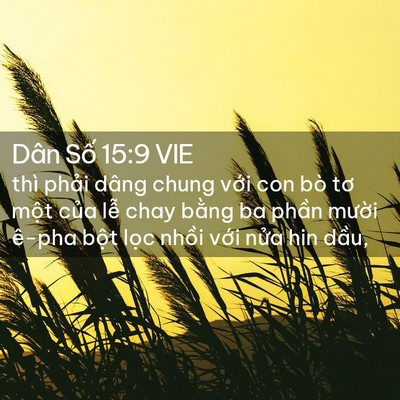 Picture 02 - Dân Số 15:9 VIE - thì phải dâng chung với con bò tơ một - Bible Verse Picture