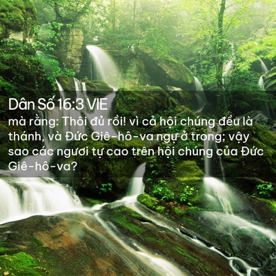 Picture 02 - Dân Số 16:3 VIE - mà rằng: Thôi đủ rồi! vì cả hội - Bible Verse Picture