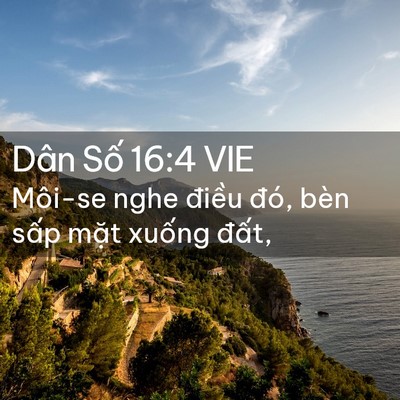 Picture 02 - Dân Số 16:4 VIE - Môi-se nghe điều đó, bèn sấp mặt - Bible Verse Picture