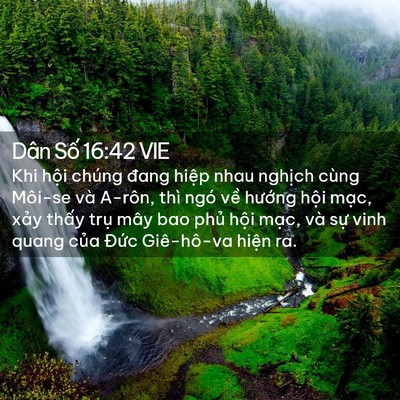 Picture 02 - Dân Số 16:42 VIE - Khi hội chúng đang hiệp nhau nghịch cùng - Bible Verse Picture