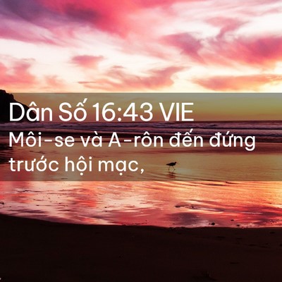 Picture 02 - Dân Số 16:43 VIE - Môi-se và A-rôn đến đứng trước hội - Bible Verse Picture