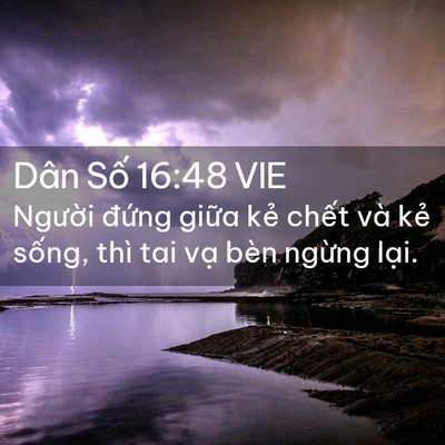 Picture 02 - Dân Số 16:48 VIE - Người đứng giữa kẻ chết và kẻ - Bible Verse Picture